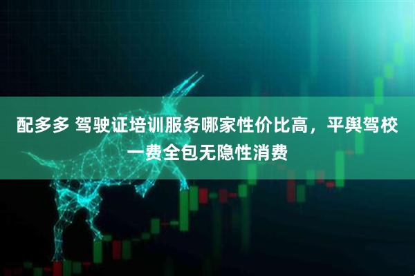 配多多 驾驶证培训服务哪家性价比高，平舆驾校一费全包无隐性消费