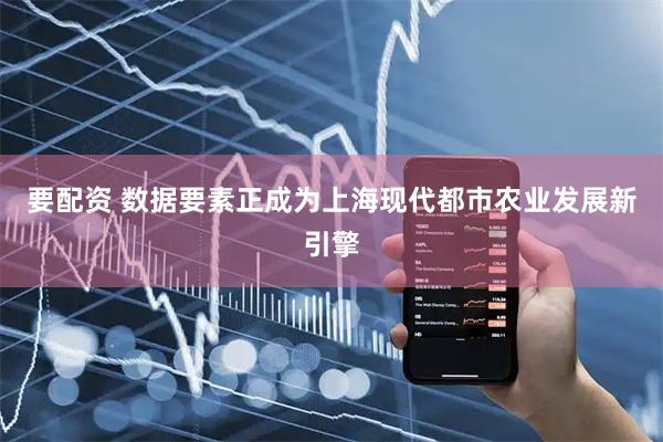 要配资 数据要素正成为上海现代都市农业发展新引擎