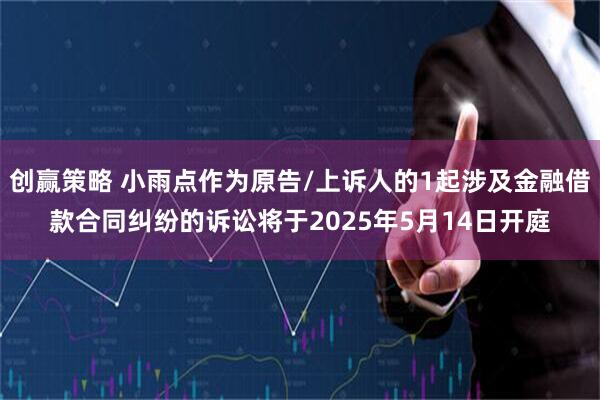 创赢策略 小雨点作为原告/上诉人的1起涉及金融借款合同纠纷的诉讼将于2025年5月14日开庭