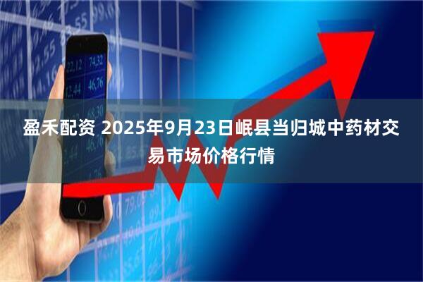 盈禾配资 2025年9月23日岷县当归城中药材交易市场价格行情