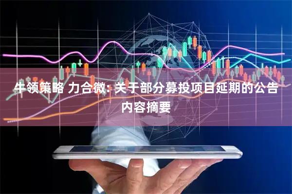 牛领策略 力合微: 关于部分募投项目延期的公告内容摘要