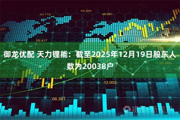 御龙优配 天力锂能：截至2025年12月19日股东人数为20038户