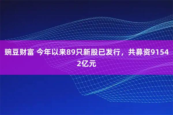 豌豆财富 今年以来89只新股已发行,共募资91542亿元